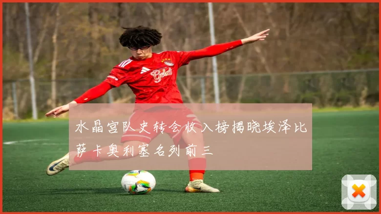 水晶宫队史转会收入榜揭晓埃泽比萨卡奥利塞名列前三